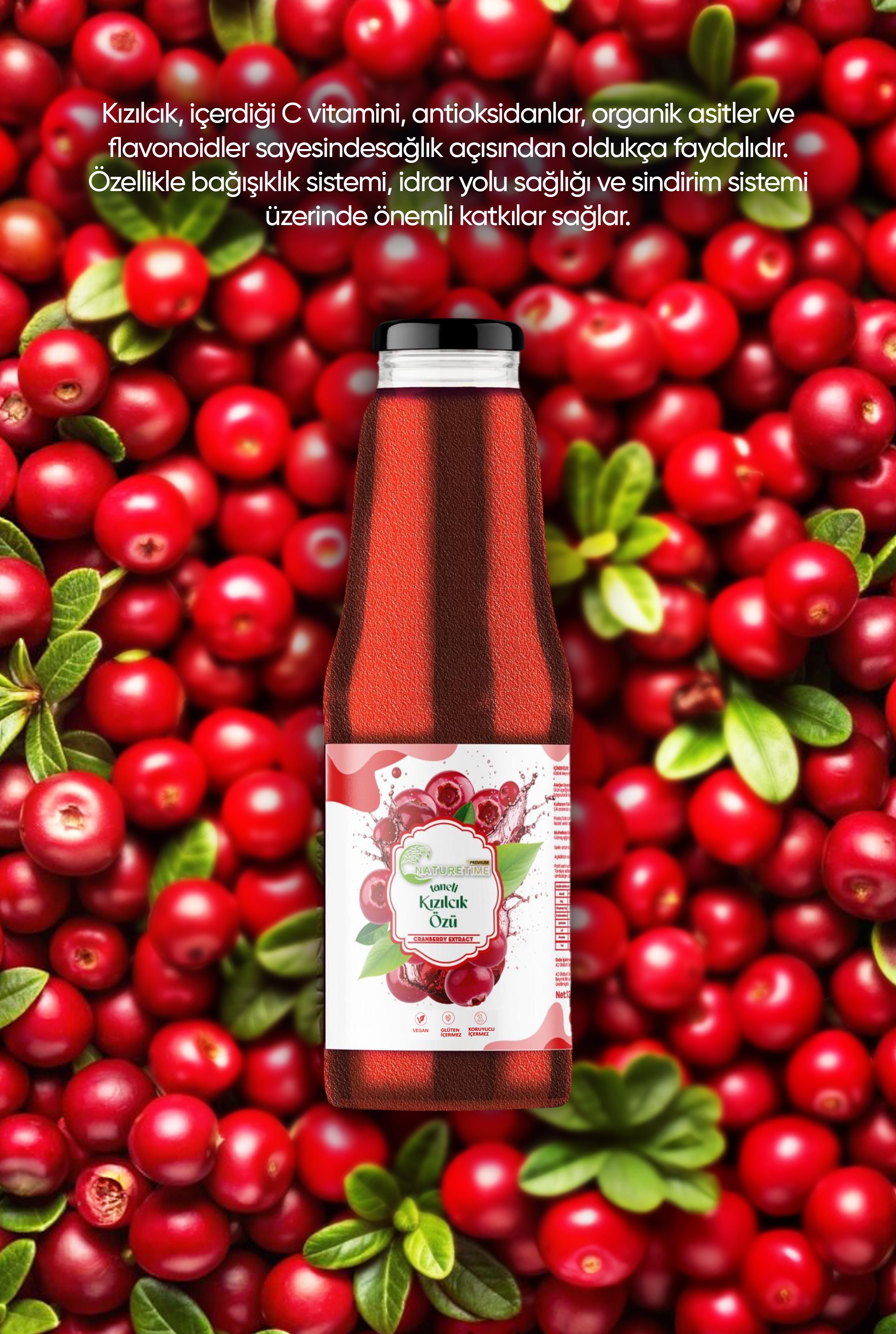 Taneli Kızılcık Özü 1350 g